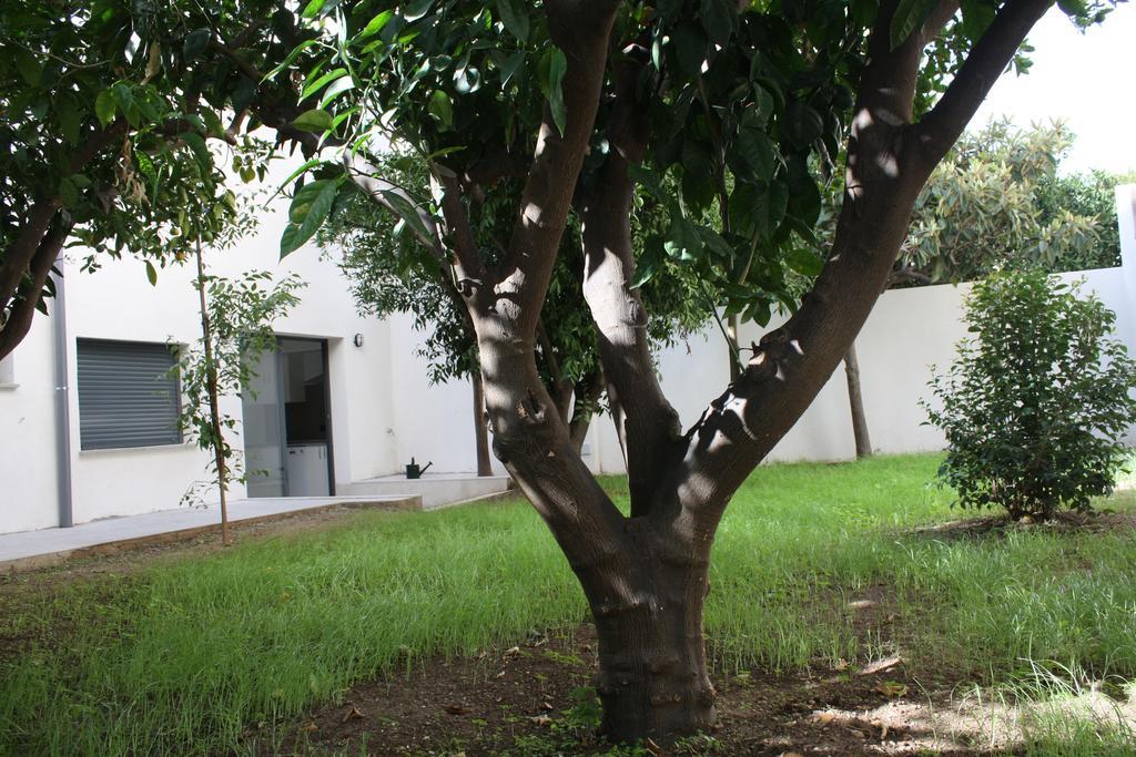 Residencia Mayol - Adults Only Palma de Mallorca Bilik gambar